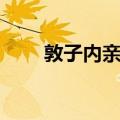 敦子内亲王（关于敦子内亲王简介）