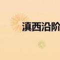 滇西沿阶草（关于滇西沿阶草介绍）