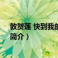 敦贺莲 快到我的碗里来！（关于敦贺莲 快到我的碗里来！简介）