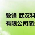 敦锋 武汉科技有限公司（关于敦锋 武汉科技有限公司简介）