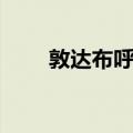 敦达布呼村（关于敦达布呼村简介）