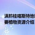 滇黔桂喀斯特地区重要植物资源（关于滇黔桂喀斯特地区重要植物资源介绍）