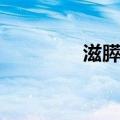 滋膵饮（关于滋膵饮介绍）