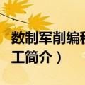 数制军削编程与加工（关于数制军削编程与加工简介）