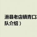 滑县老店镇青口志愿服务队（关于滑县老店镇青口志愿服务队介绍）
