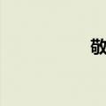 敬宠（关于敬宠简介）
