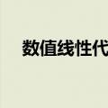 数值线性代数（关于数值线性代数简介）