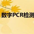 数字PCR检测仪（关于数字PCR检测仪简介）