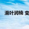 滑叶润楠 变种（关于滑叶润楠 变种介绍）