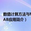 数值计算方法与MATLAB应用（关于数值计算方法与MATLAB应用简介）