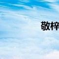 敬梓镇（关于敬梓镇简介）