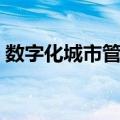 数字化城市管理（关于数字化城市管理简介）