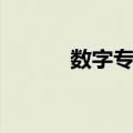 数字专辑（关于数字专辑简介）