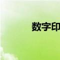 数字印刷（关于数字印刷简介）