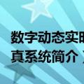 数字动态实时仿真系统（关于数字动态实时仿真系统简介）