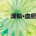 滑胎·血瘀证（关于滑胎·血瘀证介绍）