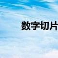 数字切片库（关于数字切片库简介）