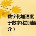 数字化加速度：工作方式、人力资源、财务的管理创新（关于数字化加速度：工作方式、人力资源、财务的管理创新简介）