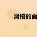 滑稽的面孔（关于滑稽的面孔介绍）