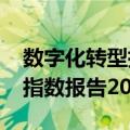 数字化转型指数报告2021（关于数字化转型指数报告2021简介）