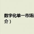 数字化单一市场版权指令（关于数字化单一市场版权指令简介）
