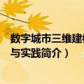 数字城市三维建模技术与实践（关于数字城市三维建模技术与实践简介）