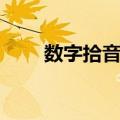 数字拾音器（关于数字拾音器简介）