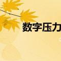 数字压力表（关于数字压力表简介）