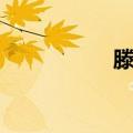 滕家（关于滕家介绍）