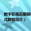 数字影视后期制作项目式教程（关于数字影视后期制作项目式教程简介）