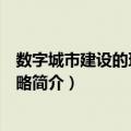 数字城市建设的理论与策略（关于数字城市建设的理论与策略简介）