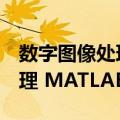 数字图像处理 MATLAB版（关于数字图像处理 MATLAB版简介）