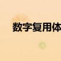 数字复用体系（关于数字复用体系简介）