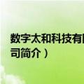 数字太和科技有限责任公司（关于数字太和科技有限责任公司简介）