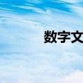数字文物（关于数字文物简介）