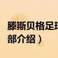 滕斯贝格足球俱乐部（关于滕斯贝格足球俱乐部介绍）