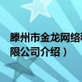 滕州市金龙网络科技有限公司（关于滕州市金龙网络科技有限公司介绍）