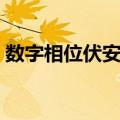 数字相位伏安表（关于数字相位伏安表简介）