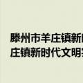 滕州市羊庄镇新时代文明实践志愿服务支队（关于滕州市羊庄镇新时代文明实践志愿服务支队介绍）