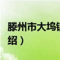 滕州市大坞镇党委（关于滕州市大坞镇党委介绍）