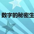 数字的秘密生活（关于数字的秘密生活简介）