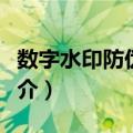 数字水印防伪技术（关于数字水印防伪技术简介）