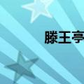 滕王亭子（关于滕王亭子介绍）
