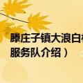 滕庄子镇大浪白村志愿服务队（关于滕庄子镇大浪白村志愿服务队介绍）