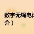 数字无绳电话系统（关于数字无绳电话系统简介）