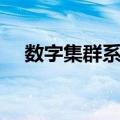 数字集群系统（关于数字集群系统简介）