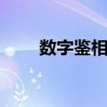 数字鉴相器（关于数字鉴相器简介）