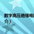 数字高压绝缘电阻测试仪（关于数字高压绝缘电阻测试仪简介）