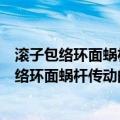 滚子包络环面蜗杆传动的理论研究与制造实践（关于滚子包络环面蜗杆传动的理论研究与制造实践介绍）