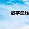 数字血压计（关于数字血压计简介）